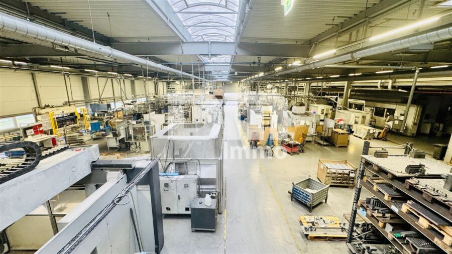 Gewerbeensemble Produktionshallen + Bürogebäude und umfangreiche Freiflächen - Halle 1